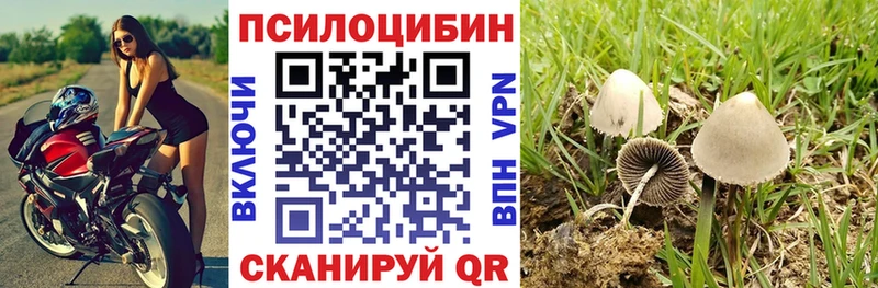 hydra сайт  Нарткала  Псилоцибиновые грибы MAGIC MUSHROOMS 