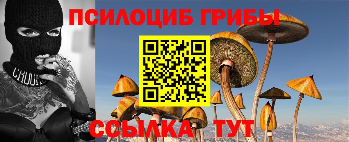 Псилоцибиновые грибы Psilocybine cubensis  Вход с VPN  Нарткала 